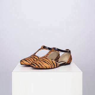 ballerina margarita cebra camel