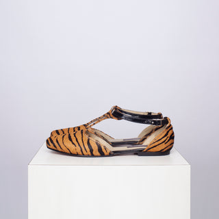 ballerina margarita cebra camel