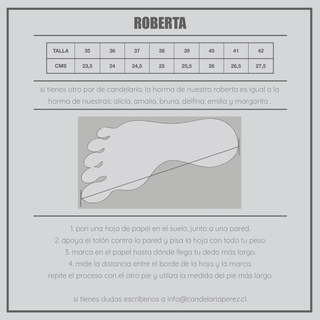 mocasín roberta glitter plata